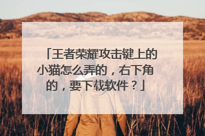 王者荣耀攻击键上的小猫怎么弄的，右下角的，要下载软件？