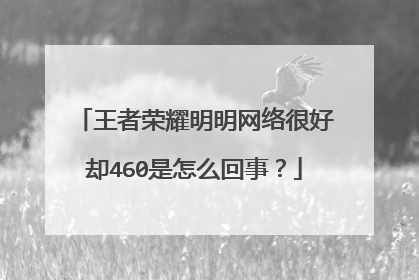 王者荣耀明明网络很好却460是怎么回事?