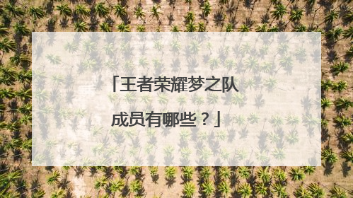 王者荣耀梦之队成员有哪些？