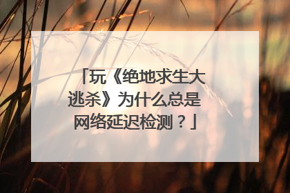 玩《绝地求生大逃杀》为什么总是网络延迟检测？