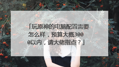 玩原神的电脑配置需要怎么样，预算大概3000以内，请大佬指点？