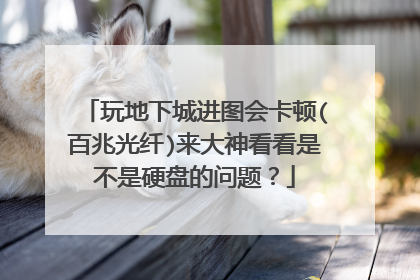 玩地下城进图会卡顿(百兆光纤)来大神看看是不是硬盘的问题？