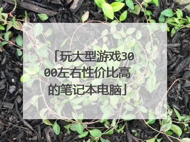 玩大型游戏3000左右性价比高的笔记本电脑