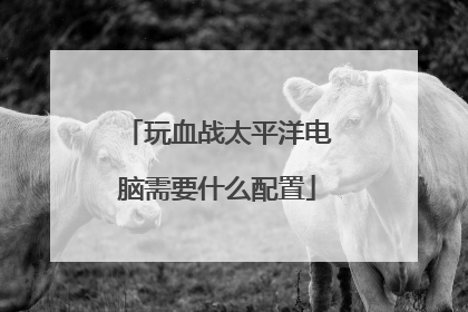 玩血战太平洋电脑需要什么配置