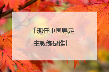 现任中国男足主教练是谁