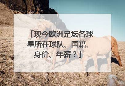 现今欧洲足坛各球星所在球队、国籍、身价、年薪?