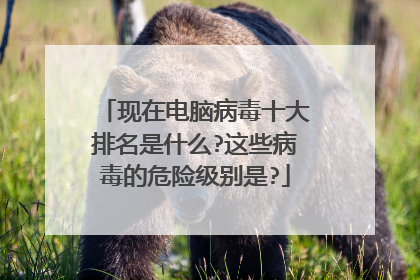 现在电脑病毒十大排名是什么?这些病毒的危险级别是?