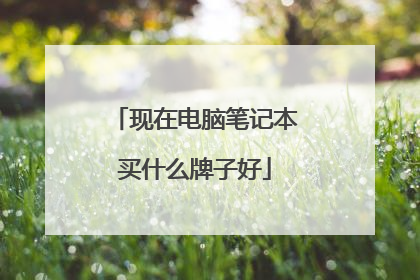 现在电脑笔记本买什么牌子好