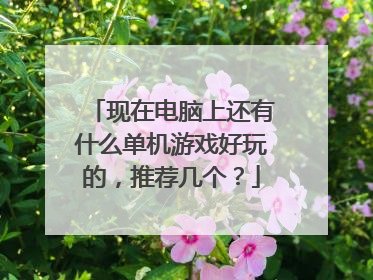 现在电脑上还有什么单机游戏好玩的，推荐几个？