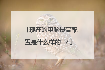 现在的电脑最高配置是什么样的 ?