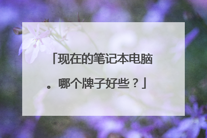 现在的笔记本电脑。哪个牌子好些?