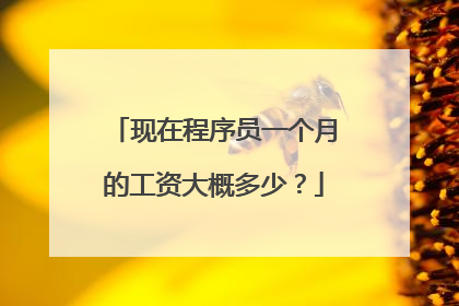 现在程序员一个月的工资大概多少?