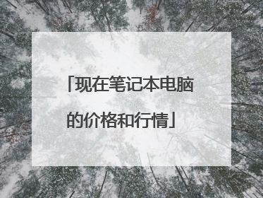 现在笔记本电脑的价格和行情
