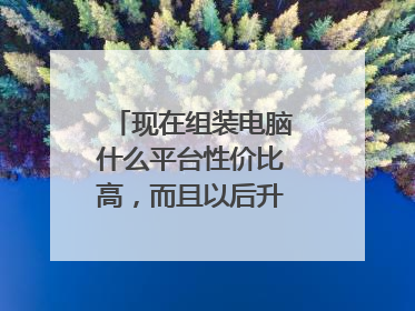 现在组装电脑什么平台性价比高,而且以后升级方便?