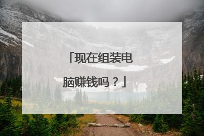 现在组装电脑赚钱吗?