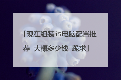 现在组装i5电脑配置推荐 大概多少钱 跪求