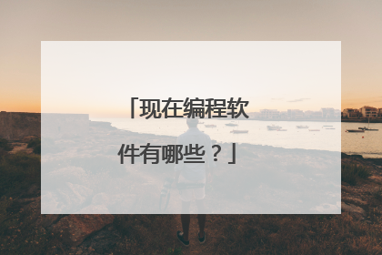 现在编程软件有哪些?