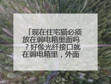 现在住宅猫必须放在弱电箱里面吗？好像光纤接口就在弱电箱里，外面的墙壁接口只有网线的，好像