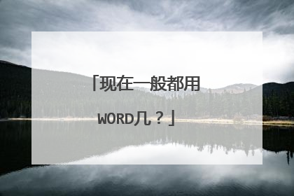 现在一般都用WORD几?