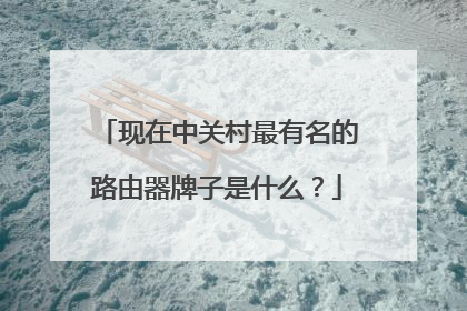现在中关村最有名的路由器牌子是什么？