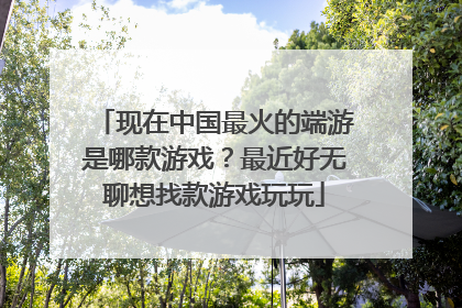 现在中国最火的端游是哪款游戏?最近好无聊想找款游戏玩玩