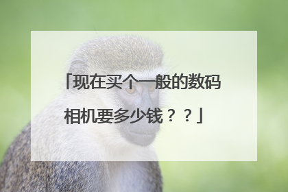 现在买个一般的数码相机要多少钱??