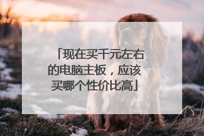 现在买千元左右的电脑主板，应该买哪个性价比高
