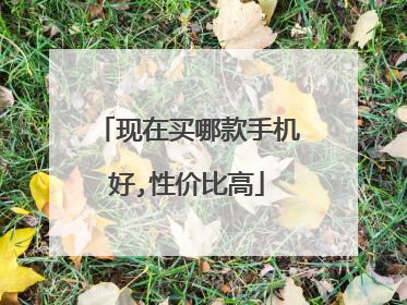 现在买哪款手机好,性价比高