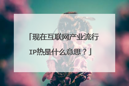 现在互联网产业流行IP热是什么意思？