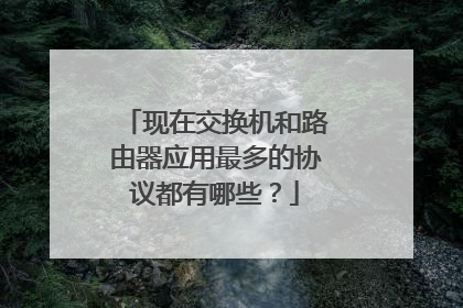 现在交换机和路由器应用最多的协议都有哪些?