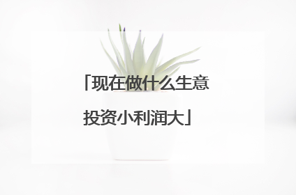 现在做什么生意投资小利润大