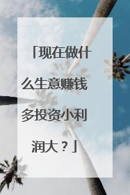 现在做什么生意赚钱多投资小利润大?