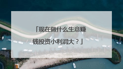 现在做什么生意赚钱投资小利润大？