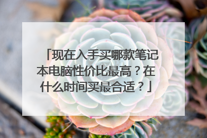 现在入手买哪款笔记本电脑性价比最高？在什么时间买最合适？