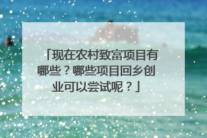 现在农村致富项目有哪些?哪些项目回乡创业可以尝试呢?