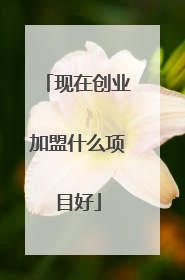 现在创业加盟什么项目好