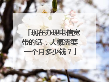 现在办理电信宽带的话,大概需要一个月多少钱?