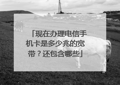 现在办理电信手机卡是多少兆的宽带？还包含哪些