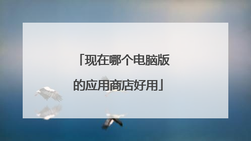 现在哪个电脑版的应用商店好用