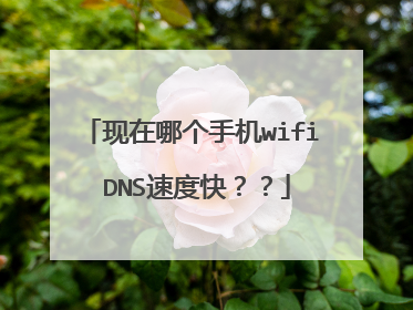 现在哪个手机wifi DNS速度快??