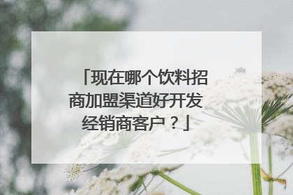 现在哪个饮料招商加盟渠道好开发经销商客户?