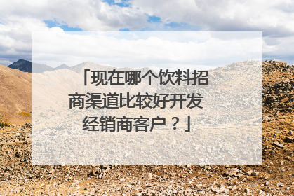 现在哪个饮料招商渠道比较好开发经销商客户?