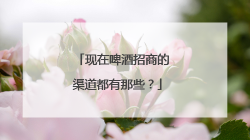 现在啤酒招商的渠道都有那些?