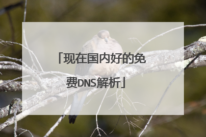 现在国内好的免费DNS解析