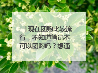 现在团购比较流行,不知道笔记本可以团购吗?想通过团购买到一台比较实惠的笔记本,当然是要靠谱的网站,