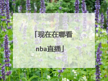 现在在哪看nba直播