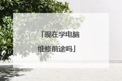 现在学电脑维修前途吗