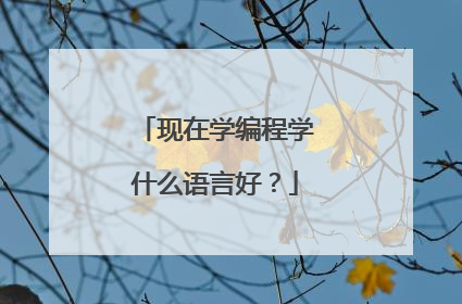 现在学编程学什么语言好?