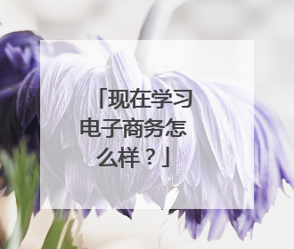 现在学习电子商务怎么样?
