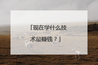 现在学什么技术最赚钱？